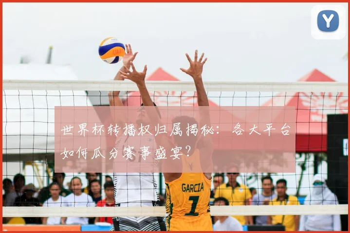 世界杯转播权归属揭秘：各大平台如何瓜分赛事盛宴？